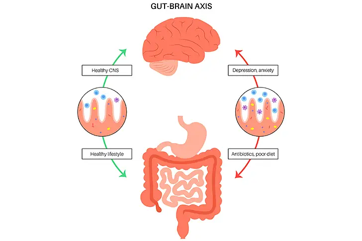Incorporating vitamins good for gut health into your daily regimen can significantly enhance digestive wellness.