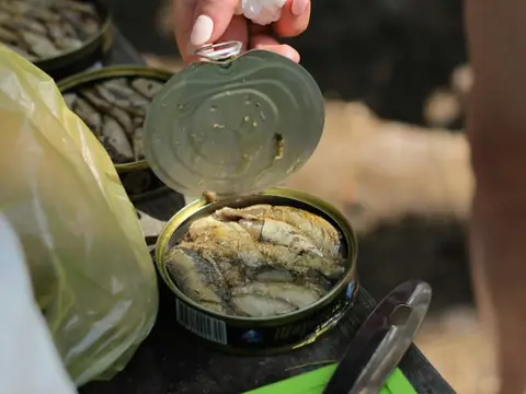 Canned Tuna vs. Canned Chicken: Which One is Healthier?